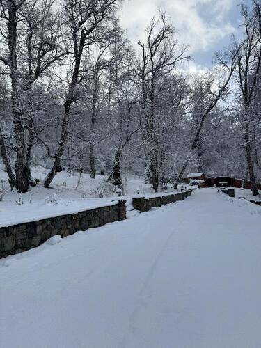 Woodland (Вудлэнд)