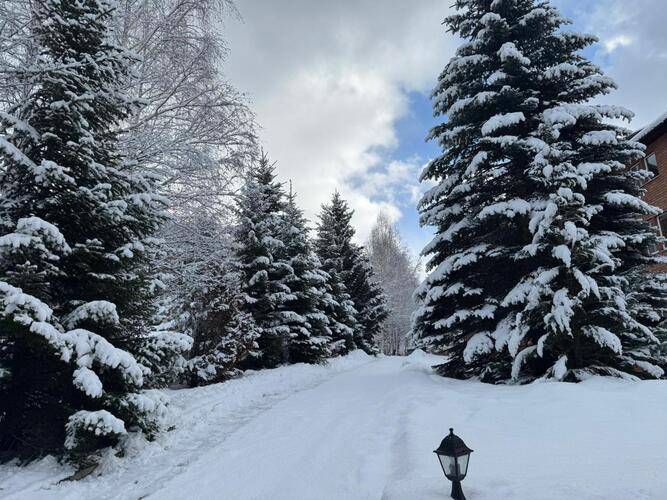 Woodland (Вудлэнд)