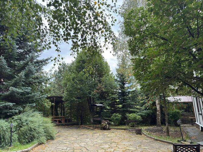 Woodland (Вудлэнд)