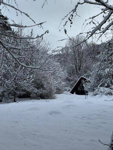 Woodland (Вудлэнд)