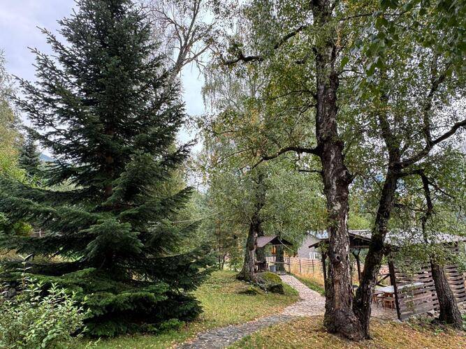 Woodland (Вудлэнд)