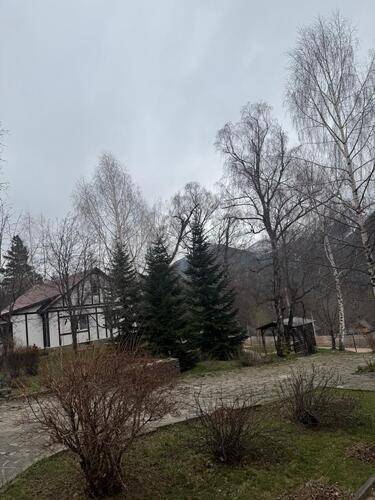 Woodland (Вудлэнд)