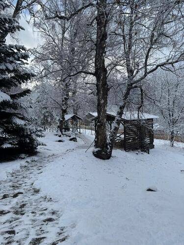 Woodland (Вудлэнд)