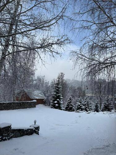 Woodland (Вудлэнд)