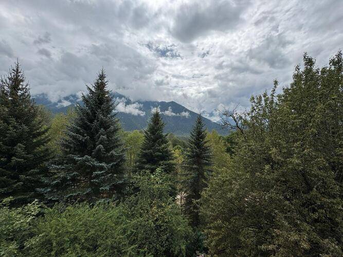 Woodland (Вудлэнд)