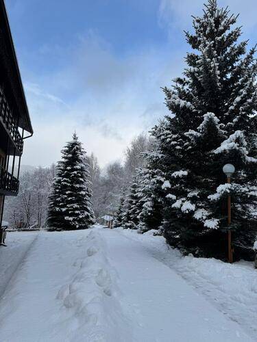 Woodland (Вудлэнд)