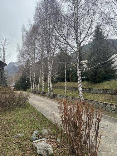 Woodland (Вудлэнд)