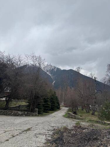 Woodland (Вудлэнд)