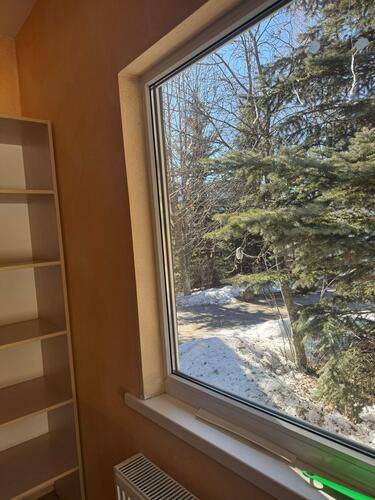 Woodland (Вудлэнд)