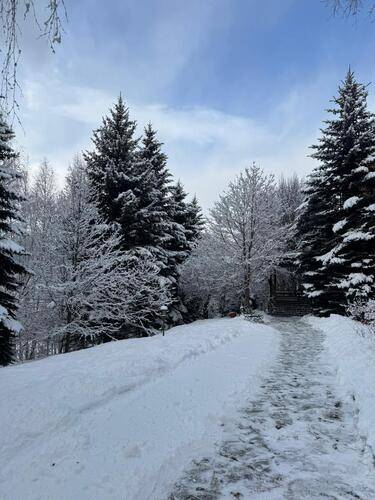 Woodland (Вудлэнд)