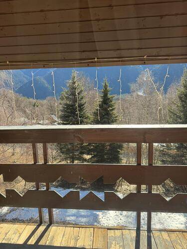 Woodland (Вудлэнд)