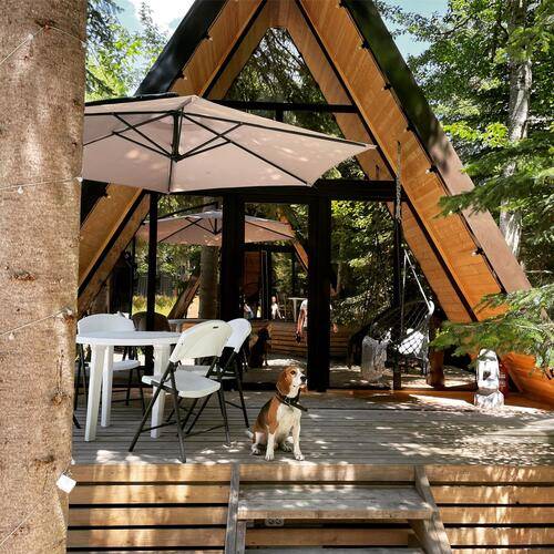 Архыз Глэмп