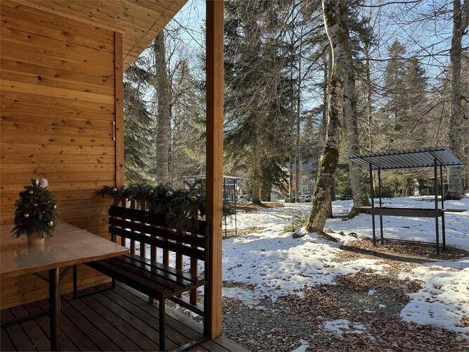 Горная Мята