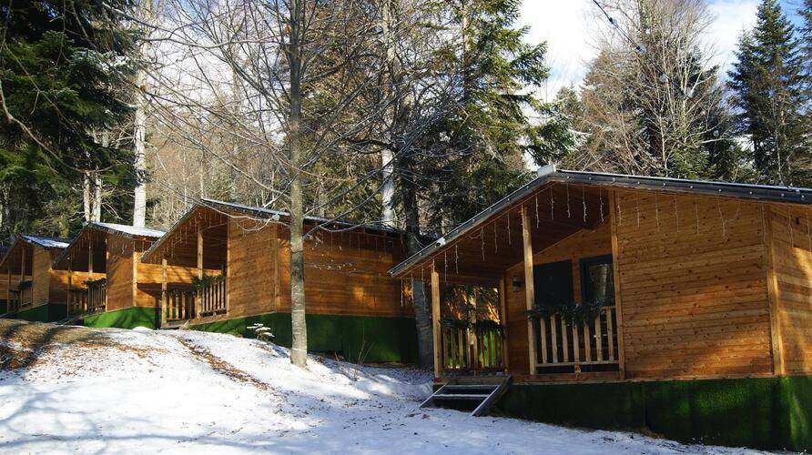 Горная Мята