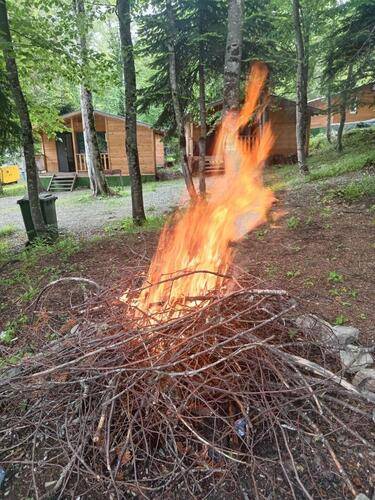 Горная Мята