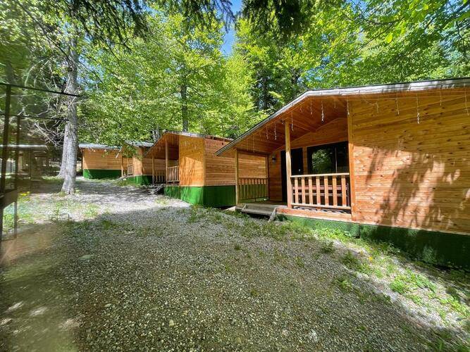 Горная Мята