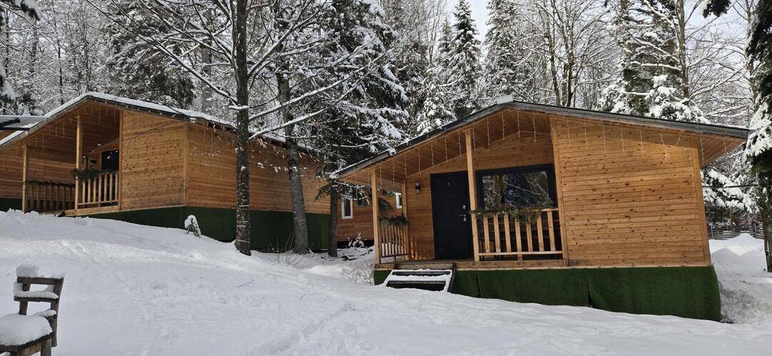 Горная Мята