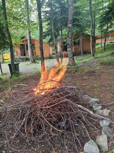 Горная Мята