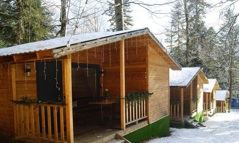 Горная Мята