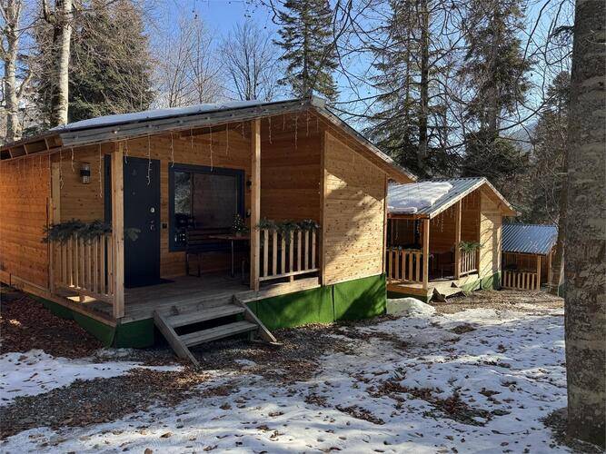 Горная Мята