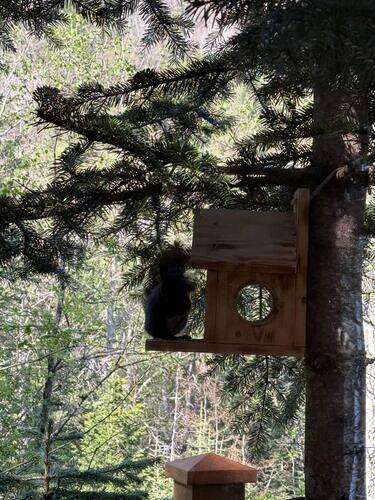 Монте Виера Парк Архыз