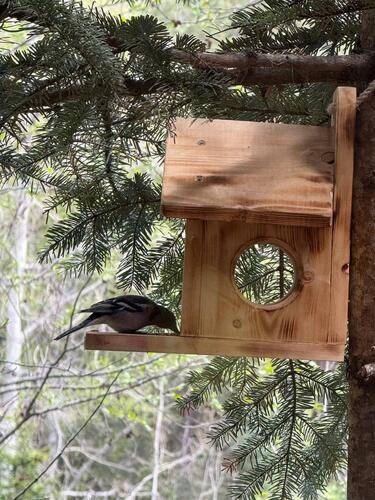 Монте Виера Парк Архыз
