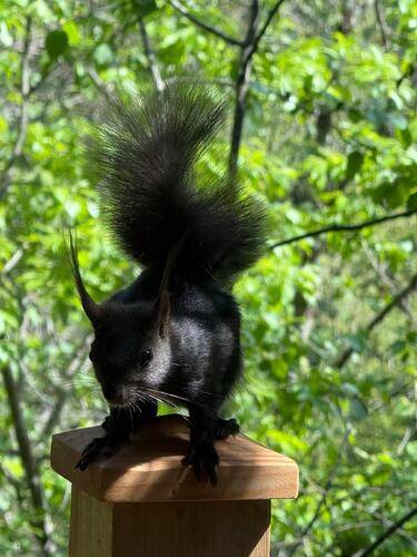 Монте Виера Парк Архыз