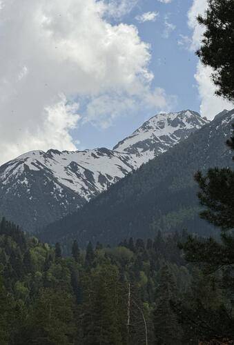 Solu Chalet (Солу Шале)