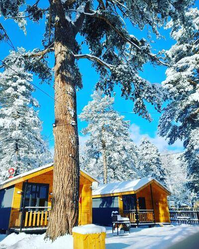 Solu Chalet (Солу Шале)