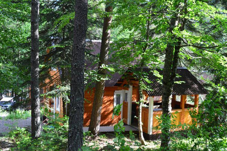 База Отдыха Мухоморье В Архызе