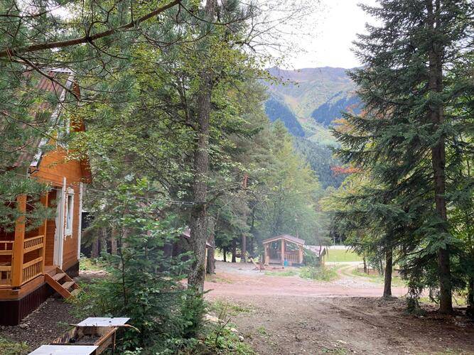 База Отдыха Мухоморье В Архызе