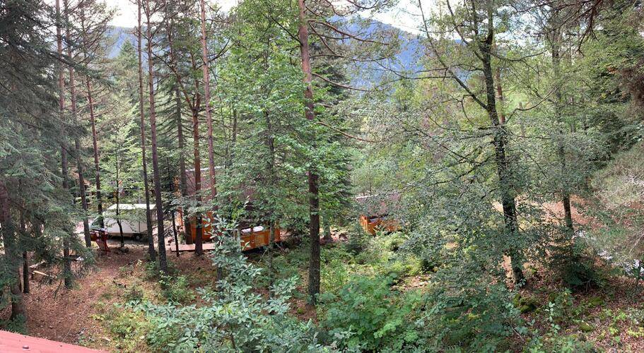 База Отдыха Мухоморье В Архызе