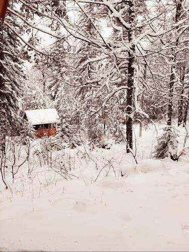 База Отдыха Мухоморье В Архызе