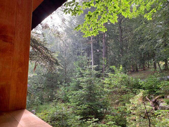 База Отдыха Мухоморье В Архызе