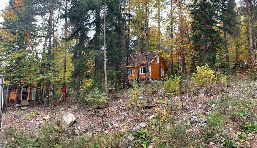 База Отдыха Мухоморье В Архызе