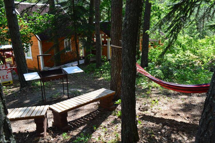 База Отдыха Мухоморье В Архызе