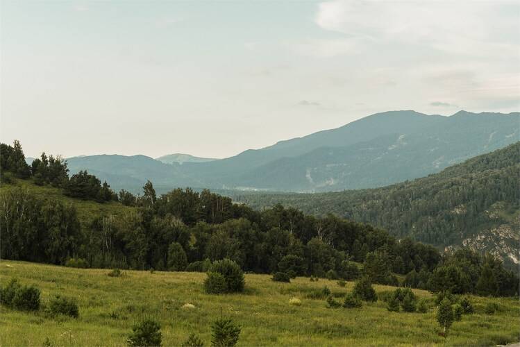 Глэмпинг Красота