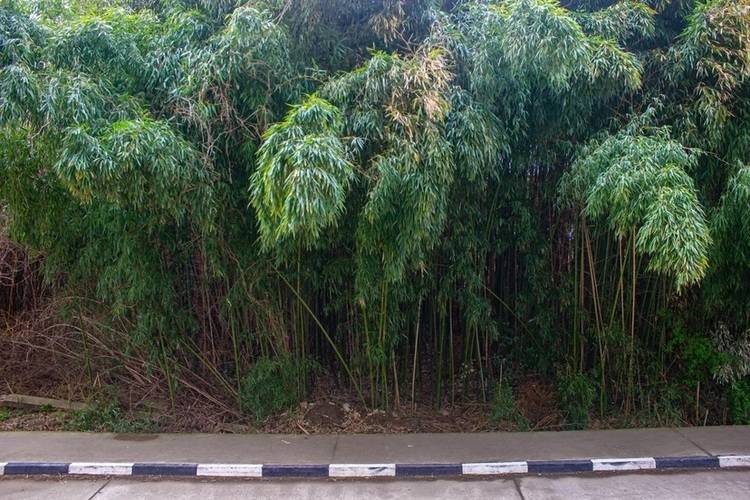 Апартаменты Сорренто Парк