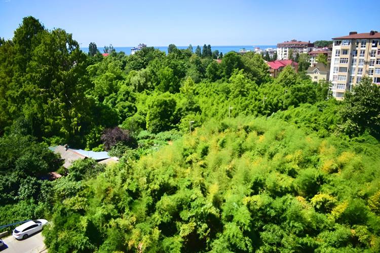 Апартаменты 2х Комнатные С Красивыми Видами На Море И Горы В Сириусе