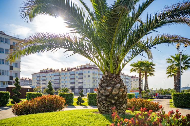 Отель Спортивный Квартал