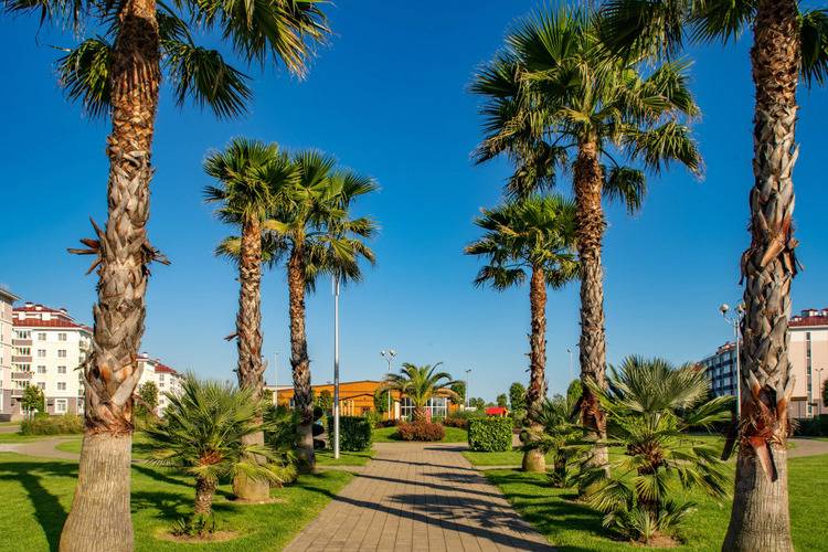 Отель Спортивный Квартал