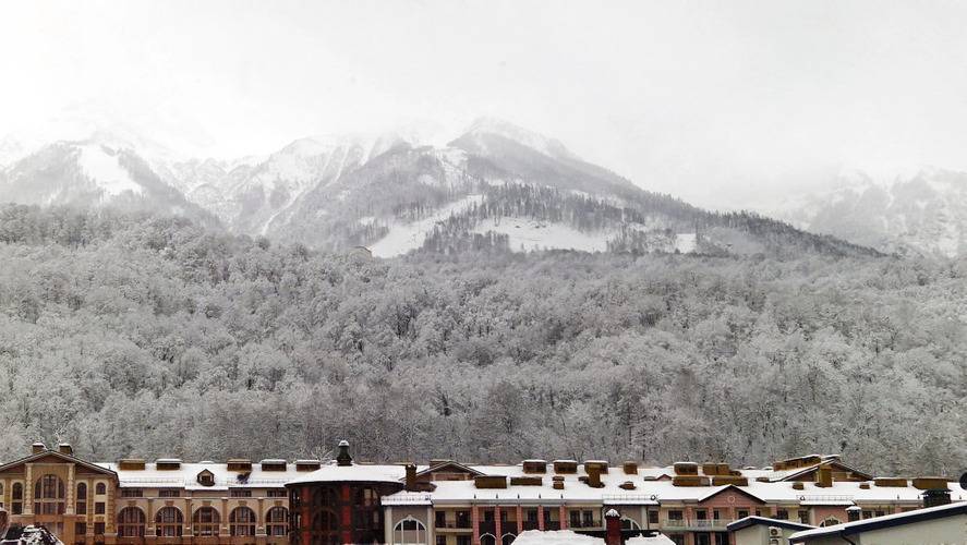 Апартаменты Четырёхместные В Красной Поляне — фото 17