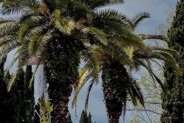 На Ленина 100 — фото 14