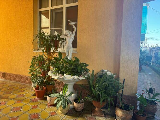 Жасмин — фото 48