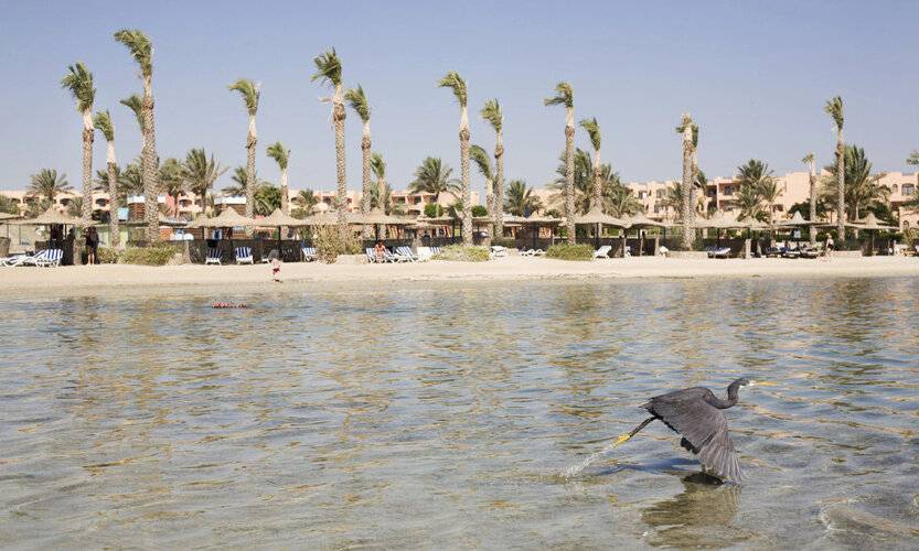 Blend Elphistone Resort