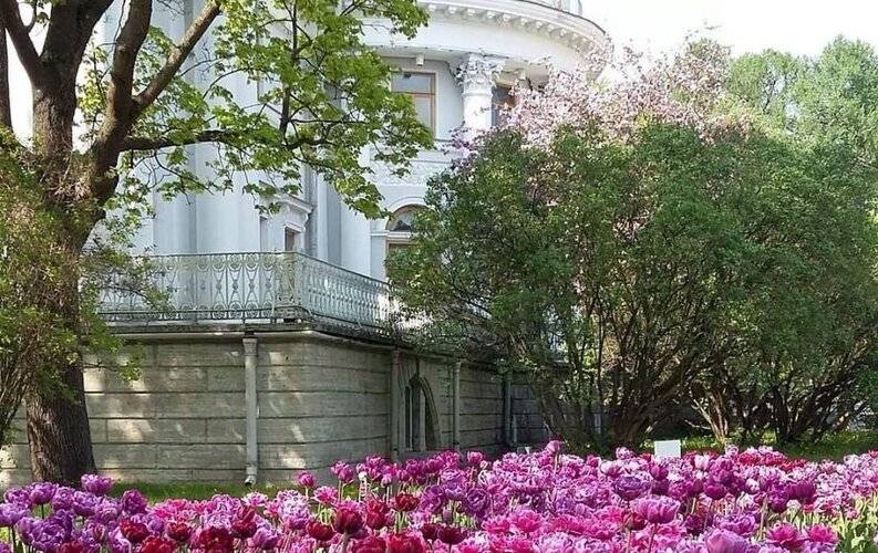 Myhomeyourhome На Савушкина 104