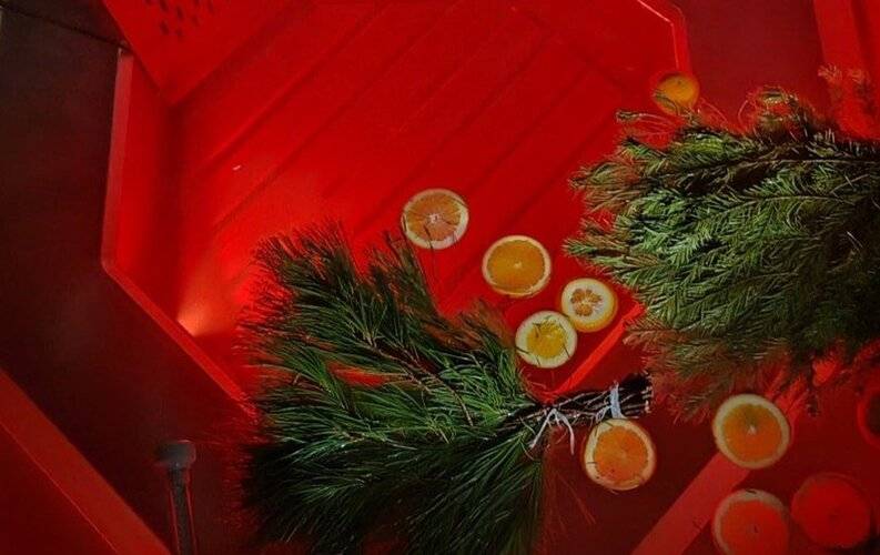 Альпинс Резиденс №40