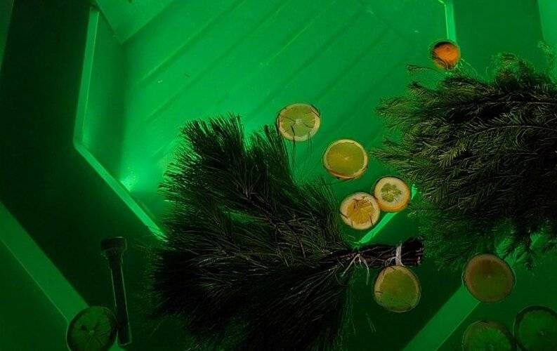 Альпинс Резиденс №40