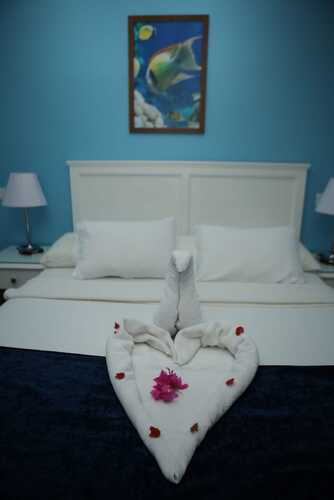 Tiba Rose Plaza