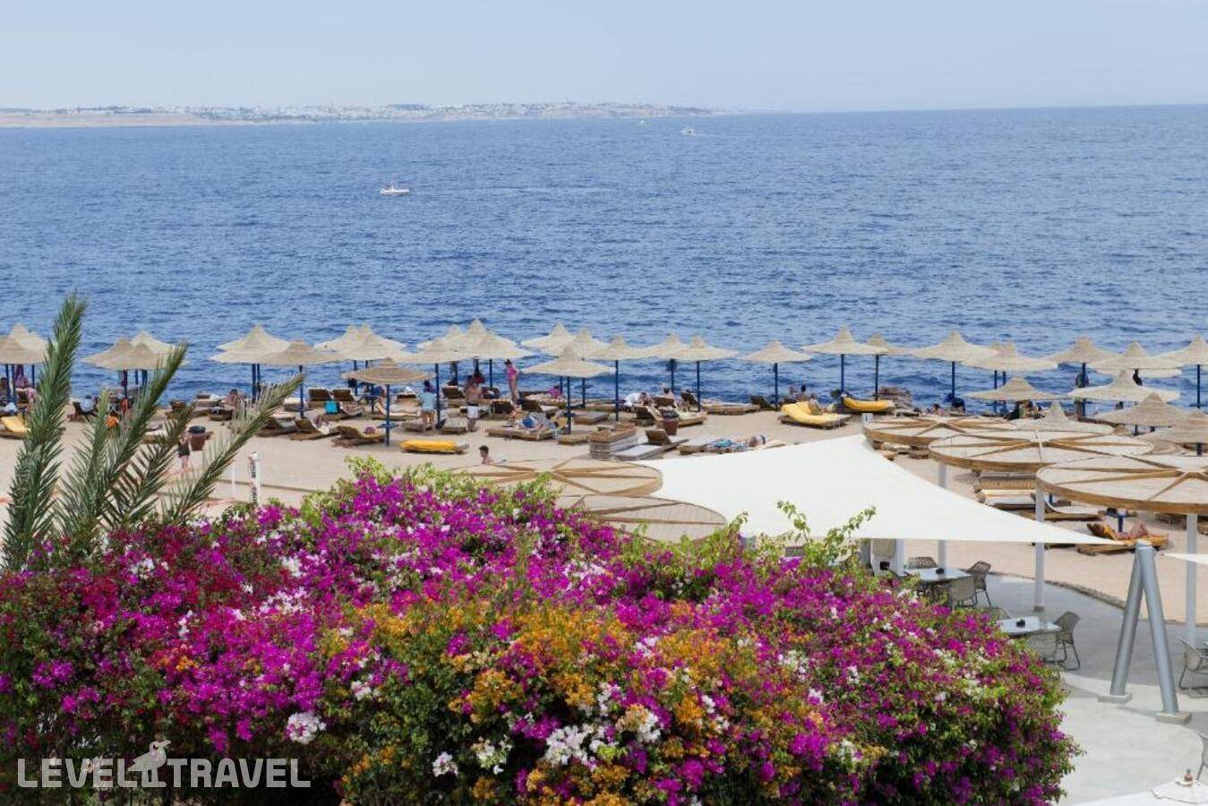 фотографии отеля Otium Hotel Aloha в Египет(Шарм-эль-Шейх) - фото №3